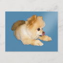 Search for pom pom postcards Cute