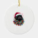 Search for black labradoodle christmas tree decorations Puppy