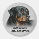 Search for rottweiler magnets Rottie