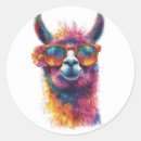 Search for llama alpaca stickers Colorful