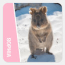 Search for animal pictures stickers Australia