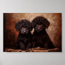 Search for black poodle posters Animal