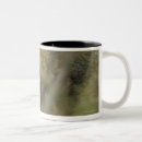 Search for hide mugs Outdoors