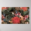 Search for peony art Colourful