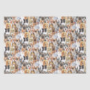 Search for dog tissue paper Collage