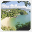 Search for nz stickers Green