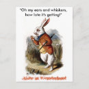 Search for white tea postcards Rabbit
