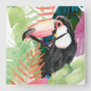 Search for toucan clocks Watercolor