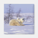Search for manitoba magnets Arctic