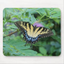 Search for swallowtail butterfly mousepads Insects