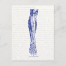Search for anatomy postcards Vintage