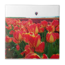 Search for hot air balloon tiles Flowers