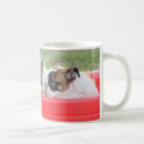 Search for english bulldog coffee mugs Puppies