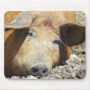 Search for sleeps mousepads Humour