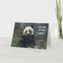 Search for black and white panda cards Funny