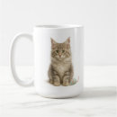 Search for norwegian forest cat Pet
