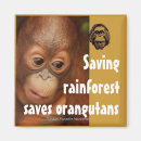 Search for conservations magnets Rainforest