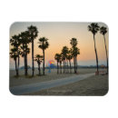 Search for tranquillity magnets Palm tree