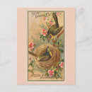 Search for breasted postcards Birds