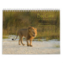 Search for leopard calendars Lion