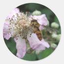 Search for hover stickers Outdoors