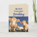 Search for cow birthday cards Friend