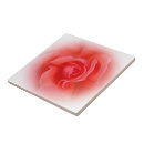 Search for coral tiles Background