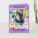 Search for cat lovers easter cards Cute