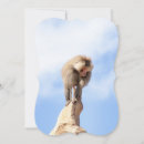 Search for monkey note cards Primate