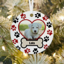 Search for pet supplies Heart