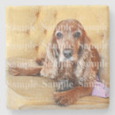 Search for memory coasters Cat