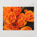 Search for passion postcards roses