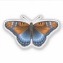 Search for vector butterflies electronics Butterfly