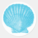 Search for sea scallop stickers Seashell