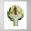 Search for artichoke posters Photography