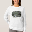Search for creeks clothing Forest