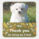 Search for friendship day stickers School