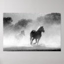 Search for cheval art Animal
