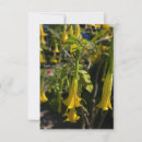 Search for angel vertical note cards Floral