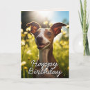 Search for greyhound birthday cards From the dog