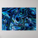 Search for abalone posters Blue