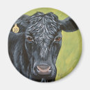 Search for angus magnets Black cow