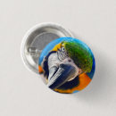 Search for blue macaw badges Bird