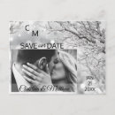 Search for snowflake wedding postcards White
