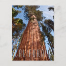 Search for giant postcards National park