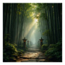 Search for forest path posters Morning light