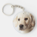 Search for golden labrador retriever key rings Pet