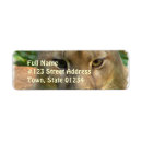 Search for puma return address labels Cat