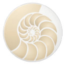 Search for seashell knobs and pulls Nautical