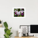 Search for cattleya orchid posters Floral